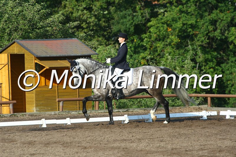 109M6056_Felino_Dressurreiter L.JPG